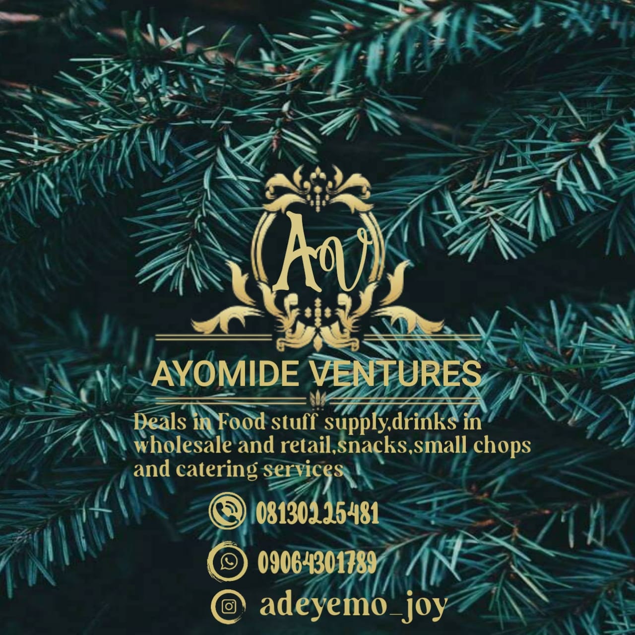 Ayomide ventures