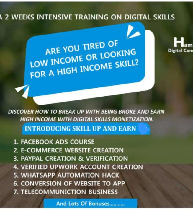 Earn while learning high income digital skills on the SKILL UP AND EARN program